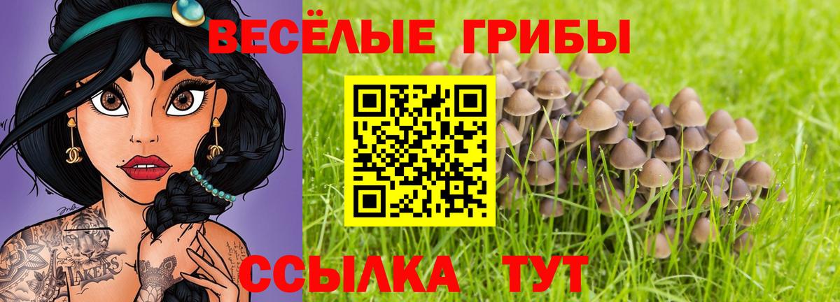 Галлюциногенные грибы MAGIC MUSHROOMS Бийск
